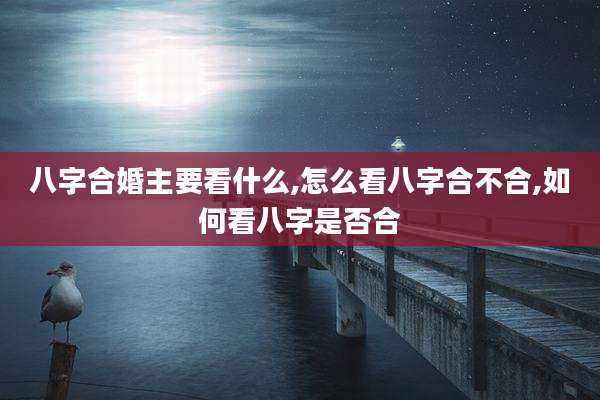 八字合婚主要看什么,怎么看八字合不合,如何看八字是否合