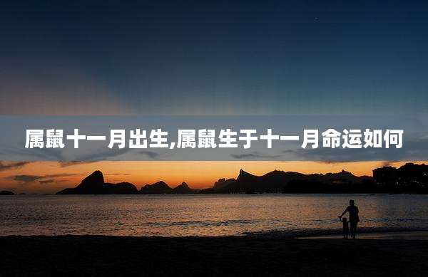 属鼠十一月出生,属鼠生于十一月命运如何