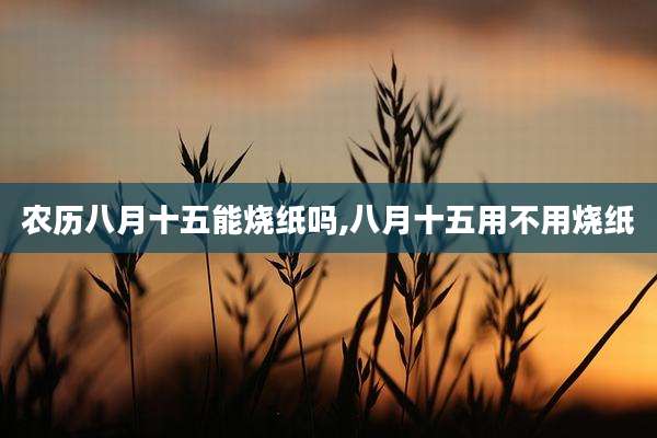 农历八月十五能烧纸吗,八月十五用不用烧纸