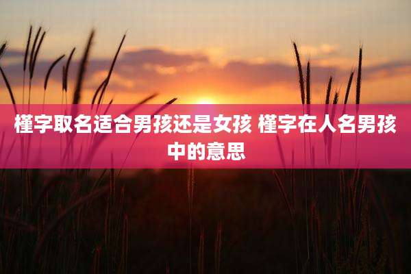 槿字取名适合男孩还是女孩 槿字在人名男孩中的意思