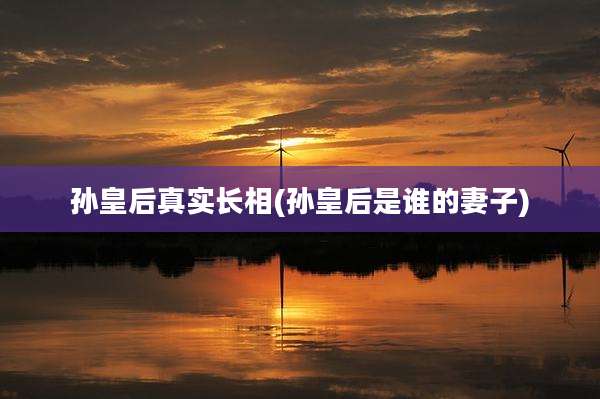 孙皇后真实长相(孙皇后是谁的妻子)