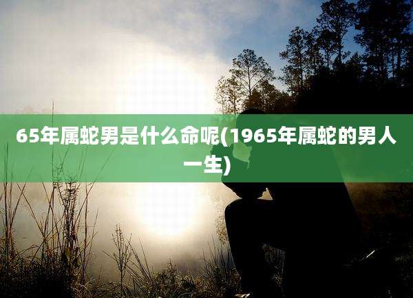 65年属蛇男是什么命呢(1965年属蛇的男人一生)