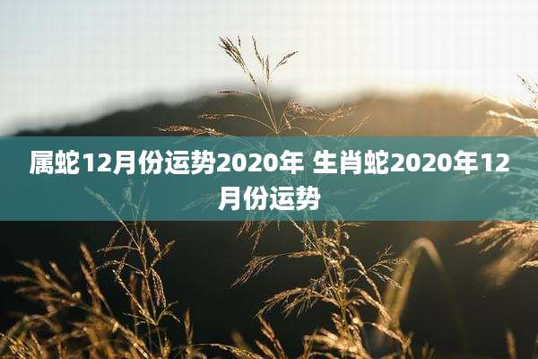 属蛇12月份运势2020年 生肖蛇2020年12月份运势