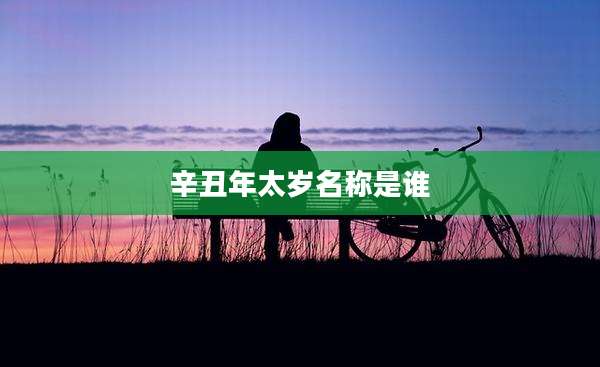 辛丑年太岁名称是谁