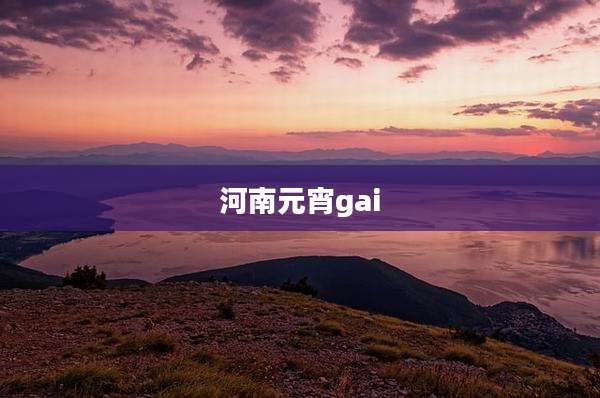 河南元宵gai