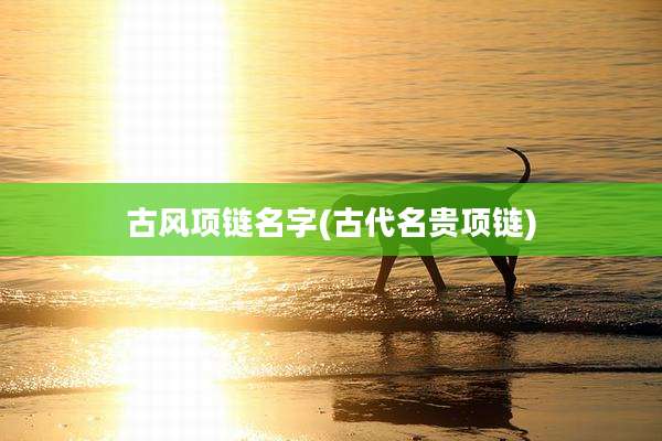 古风项链名字(古代名贵项链)