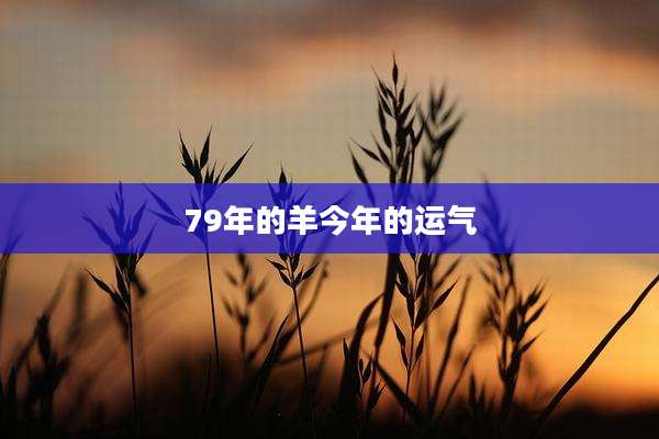 79年的羊今年的运气