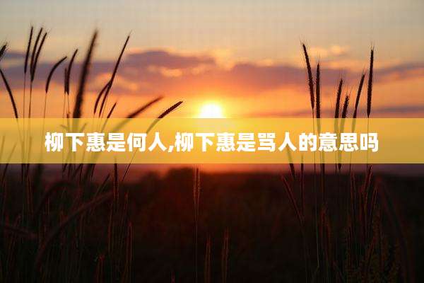 柳下惠是何人,柳下惠是骂人的意思吗