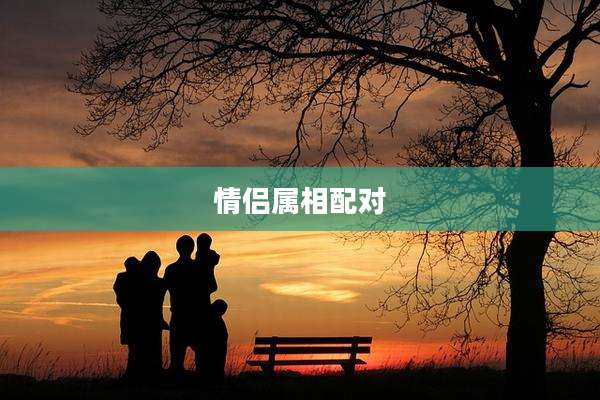 情侣属相配对