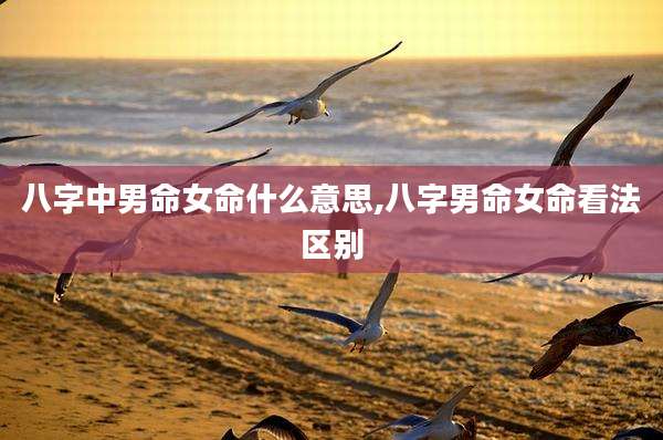 八字中男命女命什么意思,八字男命女命看法区别