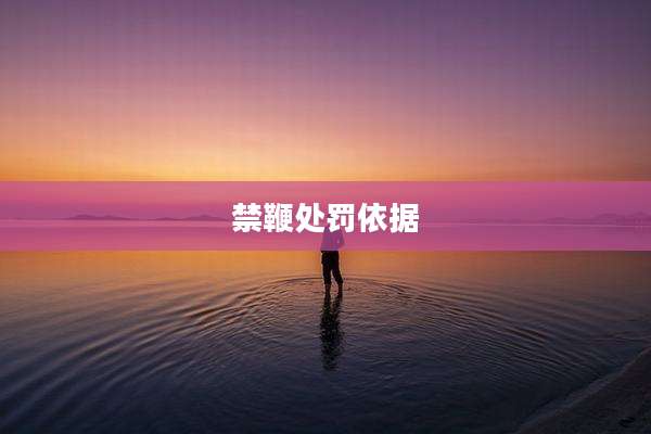 禁鞭处罚依据