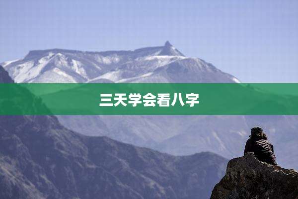 三天学会看八字