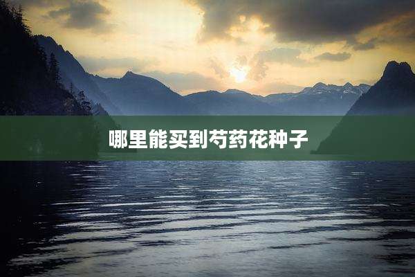 哪里能买到芍药花种子