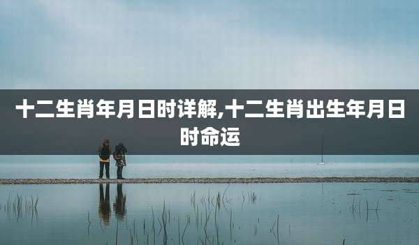 十二生肖年月日时详解,十二生肖出生年月日时命运