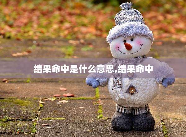 结果命中是什么意思,结果命中