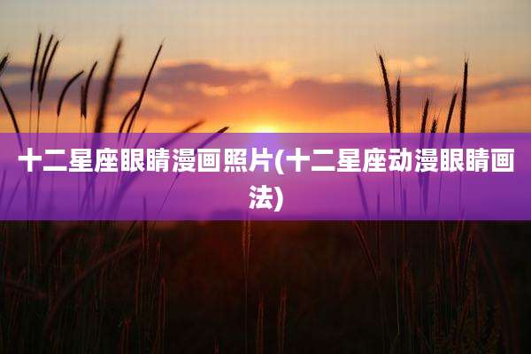 十二星座眼睛漫画照片(十二星座动漫眼睛画法)