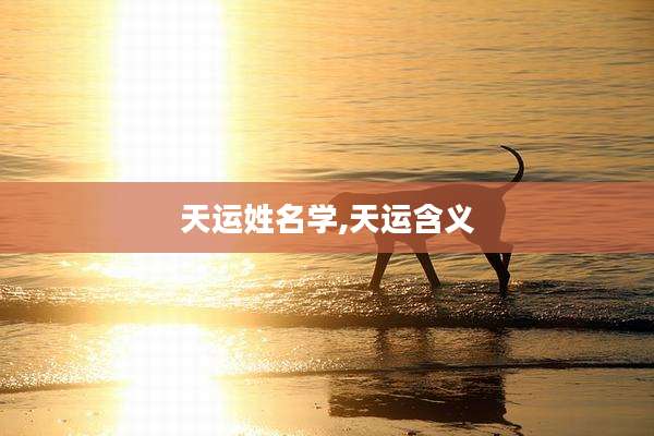天运姓名学,天运含义
