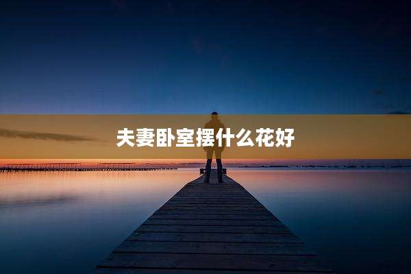夫妻卧室摆什么花好