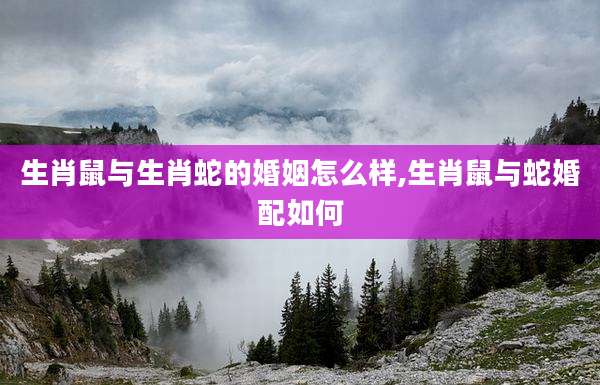 生肖鼠与生肖蛇的婚姻怎么样,生肖鼠与蛇婚配如何