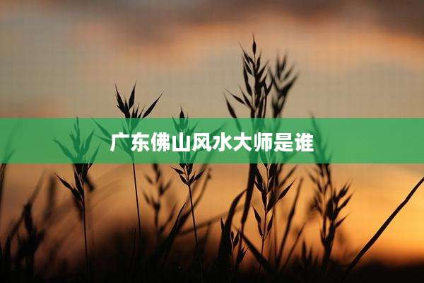 广东佛山风水大师是谁