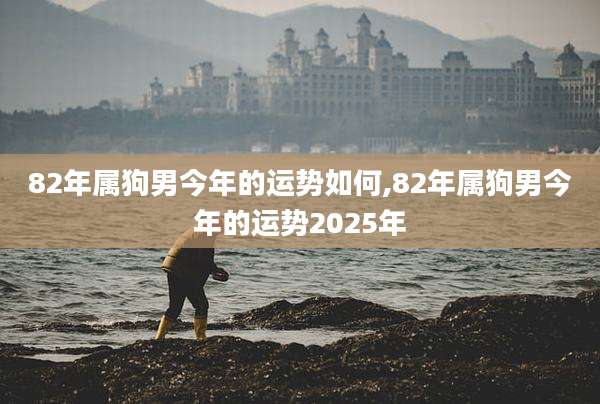 82年属狗男今年的运势如何,82年属狗男今年的运势2025年