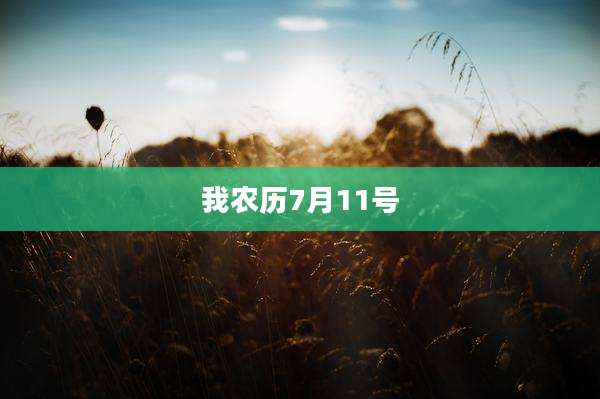 我农历7月11号