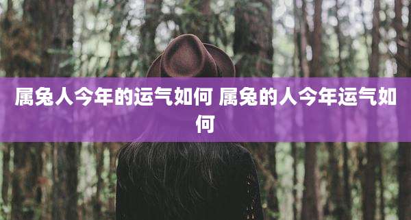 属兔人今年的运气如何 属兔的人今年运气如何