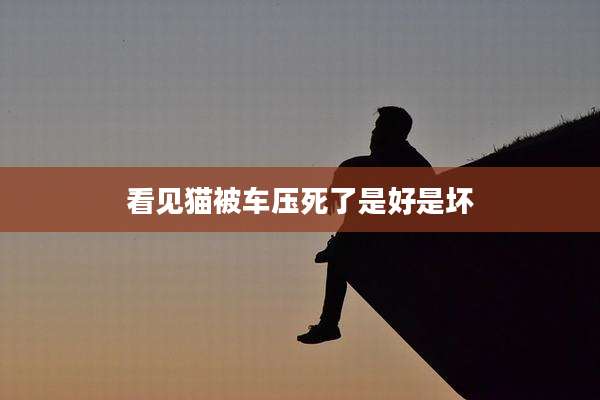 看见猫被车压死了是好是坏