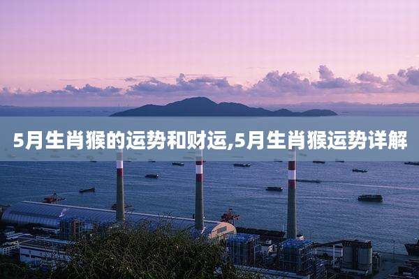 5月生肖猴的运势和财运,5月生肖猴运势详解