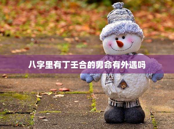 八字里有丁壬合的男命有外遇吗