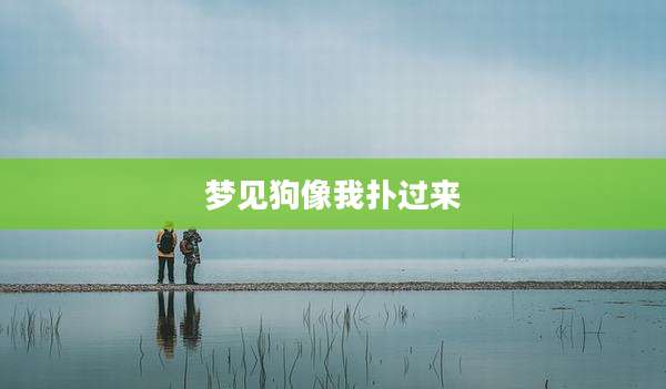 梦见狗像我扑过来