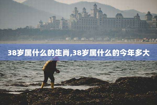38岁属什么的生肖,38岁属什么的今年多大