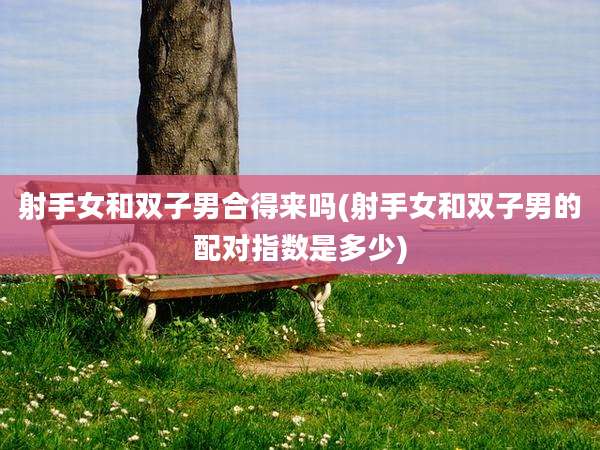 射手女和双子男合得来吗(射手女和双子男的配对指数是多少)