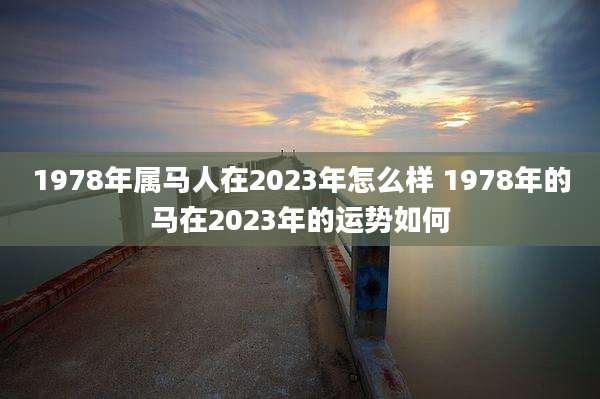 1978年属马人在2023年怎么样 1978年的马在2023年的运势如何
