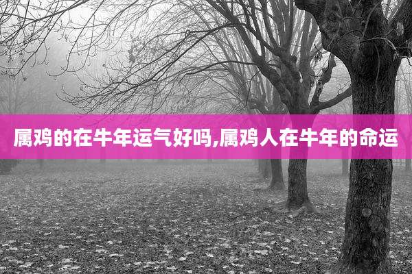 属鸡的在牛年运气好吗,属鸡人在牛年的命运