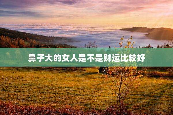 鼻子大的女人是不是财运比较好
