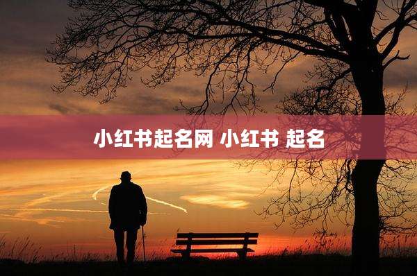 小红书起名网 小红书 起名
