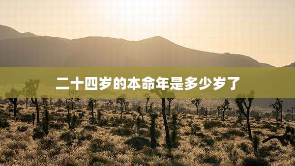 二十四岁的本命年是多少岁了
