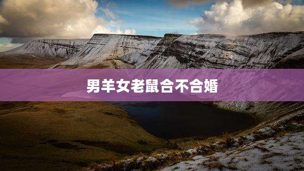男羊女老鼠合不合婚