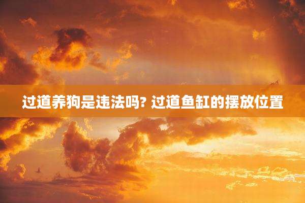过道养狗是违法吗? 过道鱼缸的摆放位置