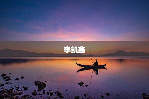 李凯鑫