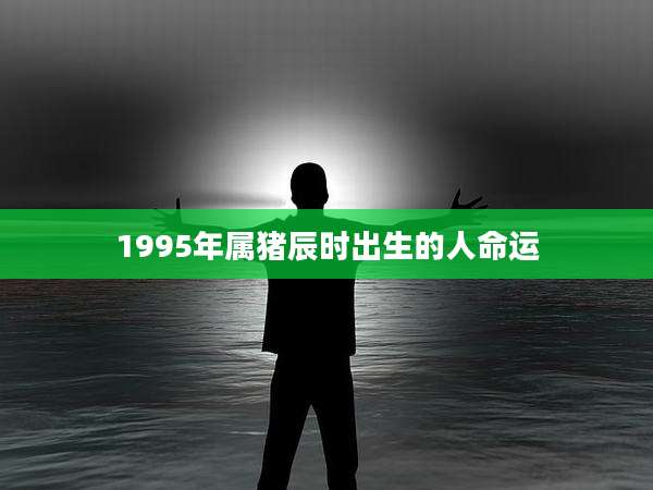 1995年属猪辰时出生的人命运