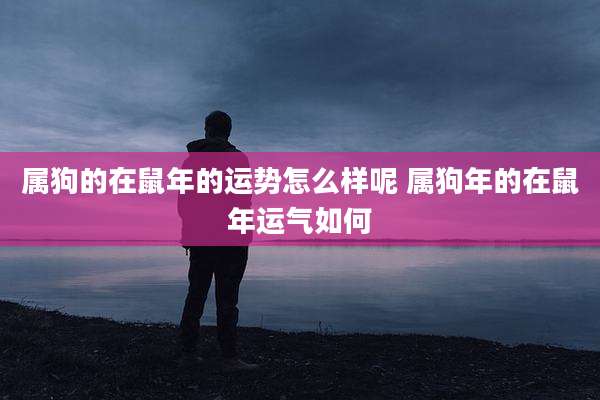 属狗的在鼠年的运势怎么样呢 属狗年的在鼠年运气如何