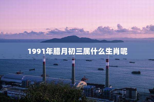 1991年腊月初三属什么生肖呢