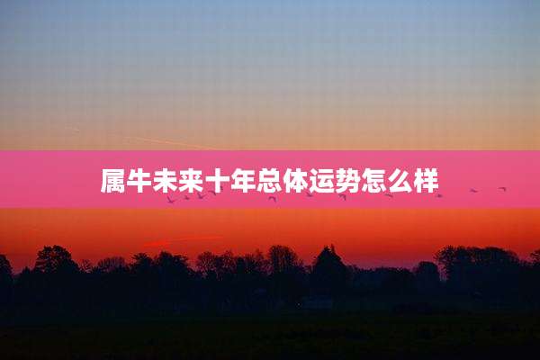 属牛未来十年总体运势怎么样