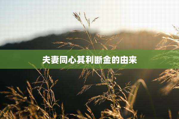 夫妻同心其利断金的由来