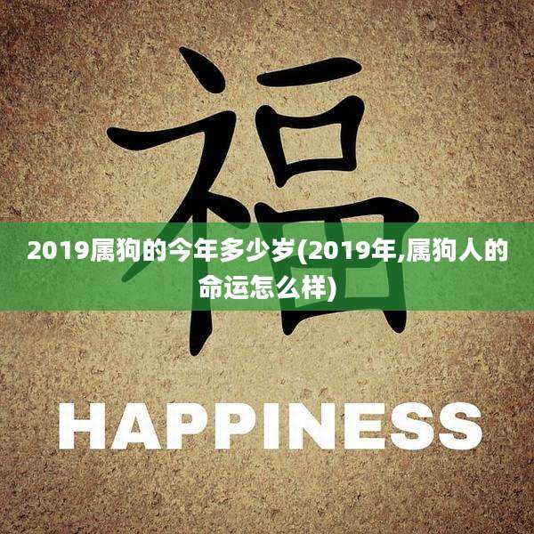 2019属狗的今年多少岁(2019年,属狗人的命运怎么样)
