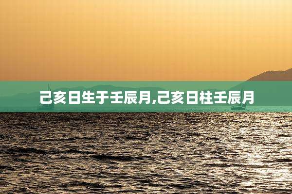 己亥日生于壬辰月,己亥日柱壬辰月