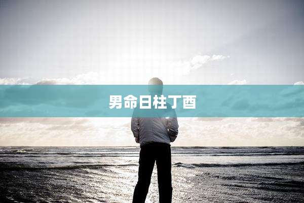 男命日柱丁酉