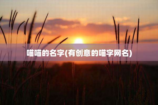 喵喵的名字(有创意的喵字网名)